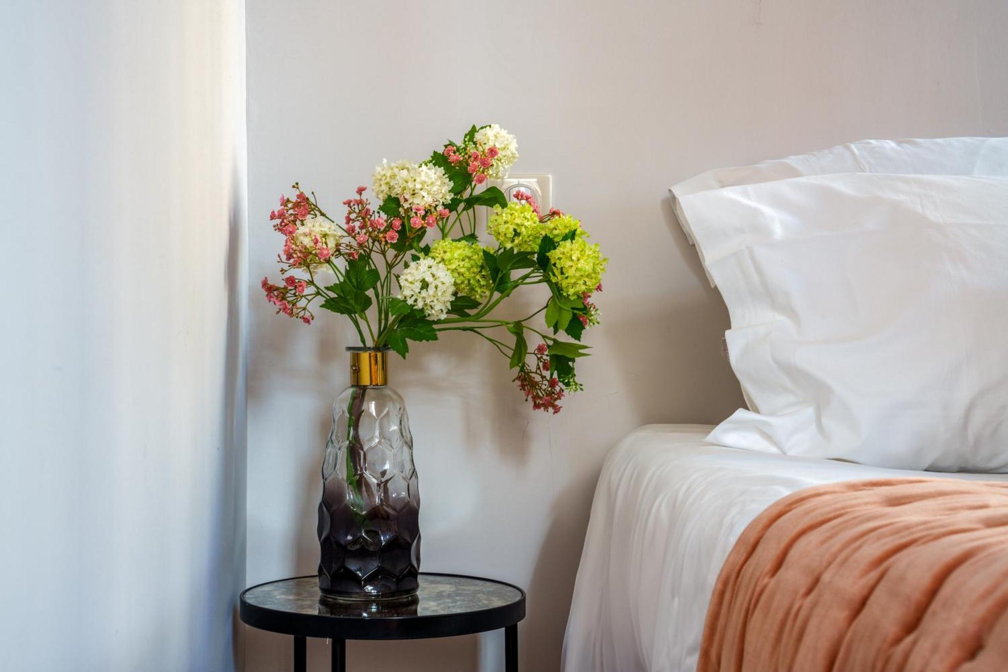 Appartement Raffine Vue Cathedrale, Jardin, Wifi 图尔 外观 照片